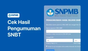 Cek Hasil Pengumuman SNBT