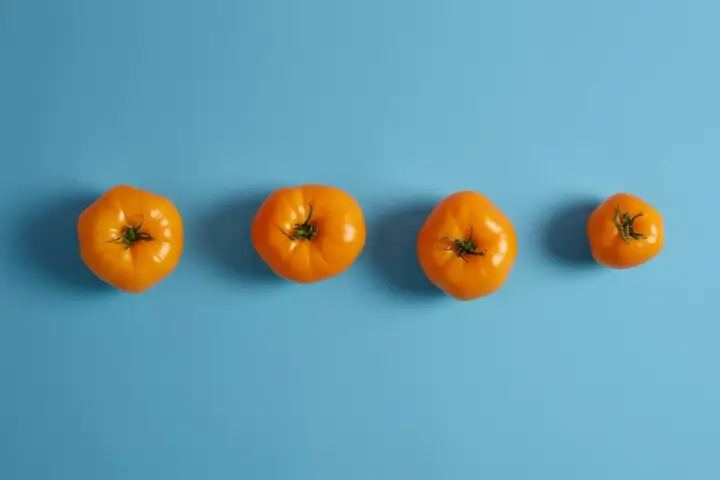 Teknik Pomodoro