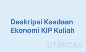 Contoh Deskripsi Keadaan Ekonomi KIP Kuliah